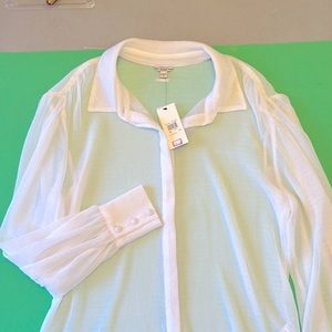 GUESS. This is a Sheer blouse